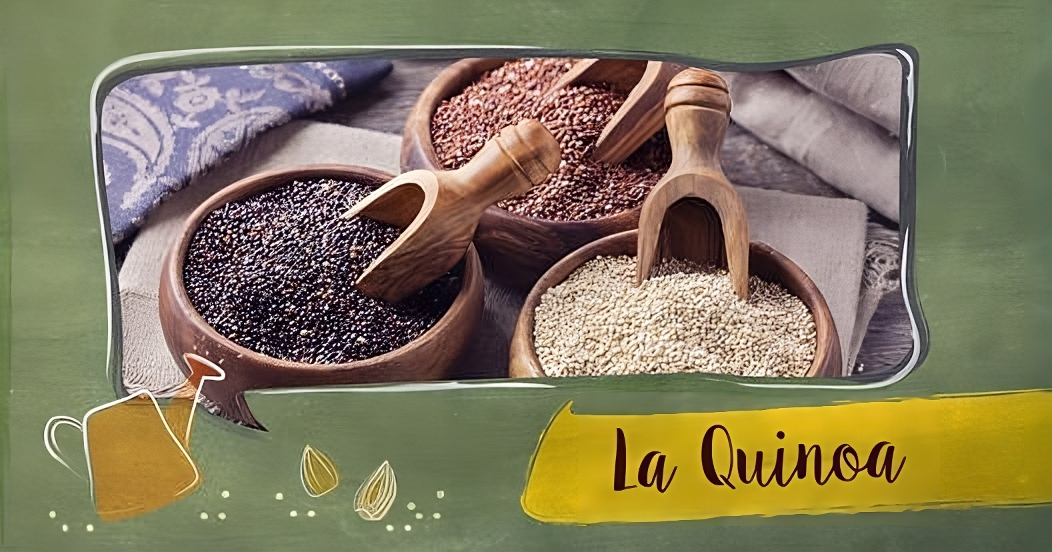 #biodì: la quinoa
